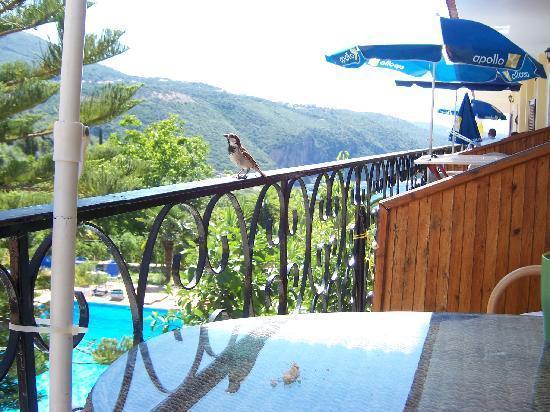 Bella Vista Hotel And Apartments Parga Exterior photo